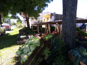 Este sábado feria de