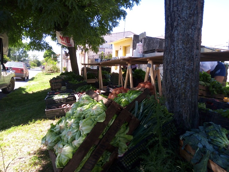 Este sábado feria de