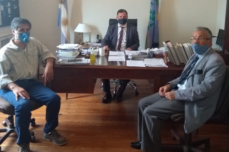 A raíz de sufrir varios