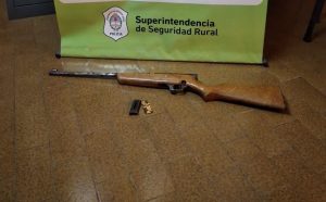 Secuestraron una carabina