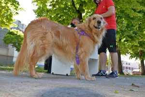 El Quirófano Móvil estará en