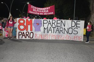 La Asamblea Feminista realizó la