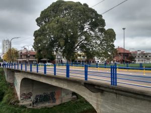 El Municipio continúa las tareas