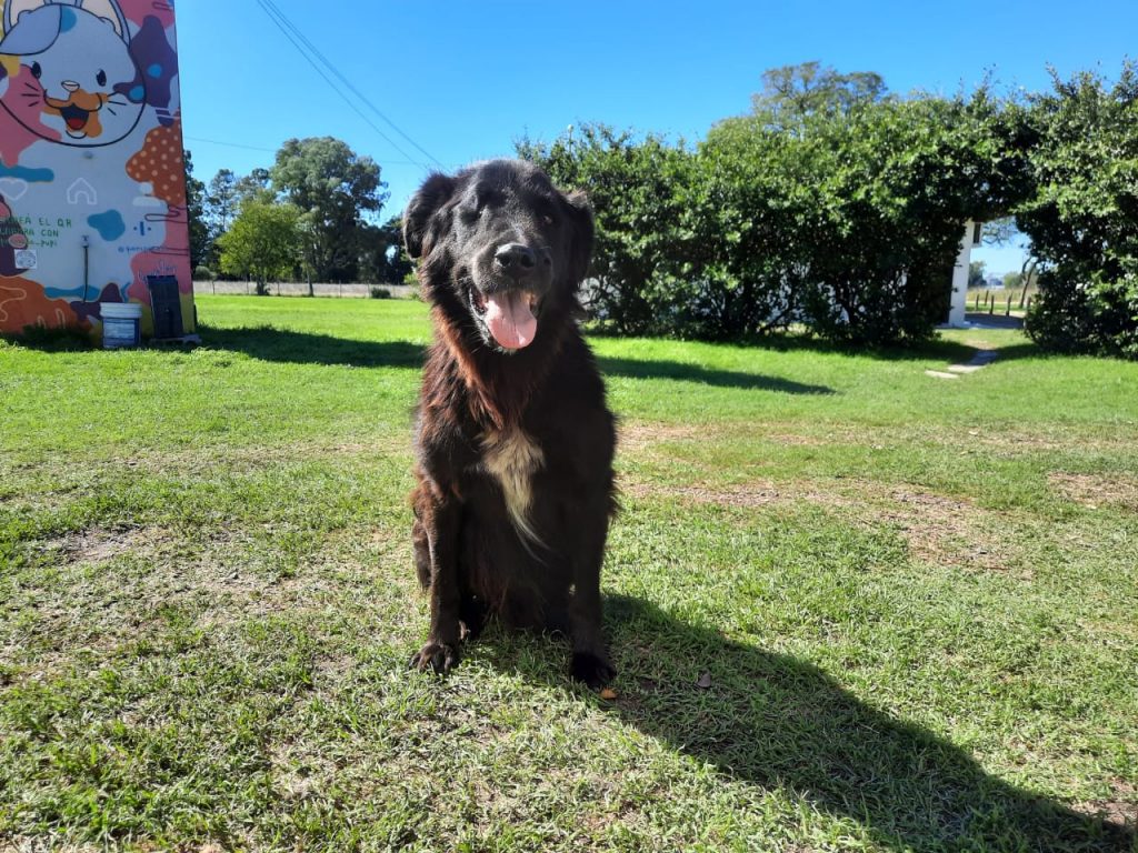 La Dirección de Bromatología adhiere