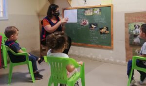 reconocimiento de animales