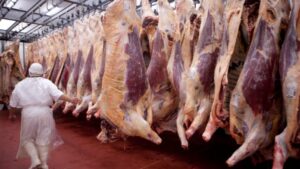 Cierran las exportaciones de carne