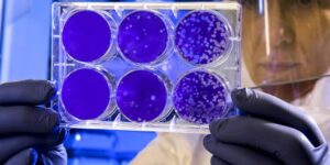 variantes de la India y Sudáfrica