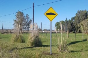 seguridad vial