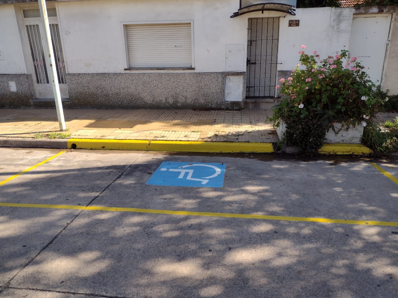 seguridad vial 