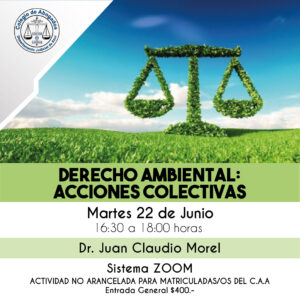 Derecho ambiental y acciones colectivas