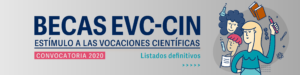 Becas CIN