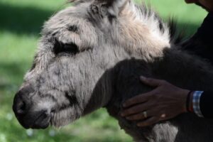 Comienzan las actividades de vacaciones