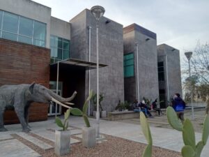 Cuáles son las actividades de