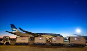 Llega hoy un nuevo vuelo