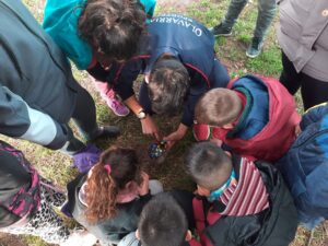 variedad de propuestas