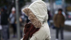 Cuándo comenzará a percibirse el