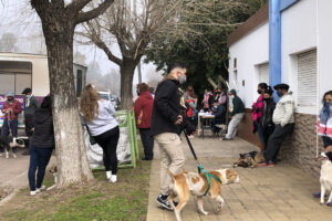 Se desarrolló con éxito la