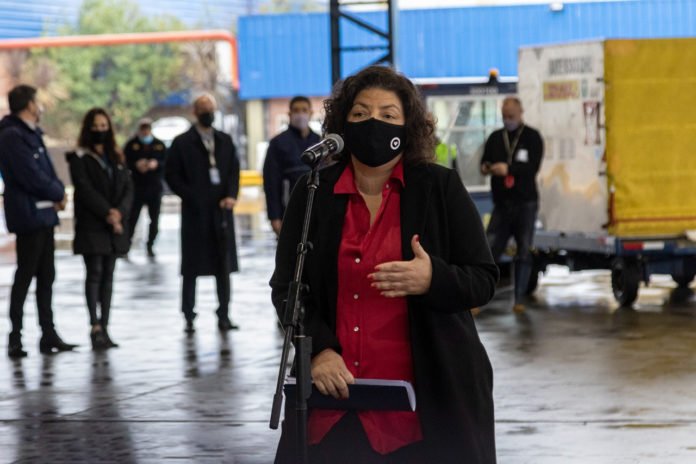 Carla Vizzotti recibió en Ezeiza