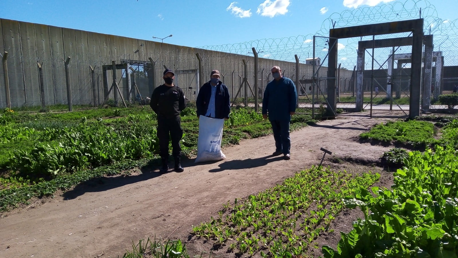 Se recibieron las semillas de