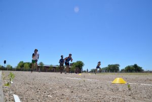 A través de la participación