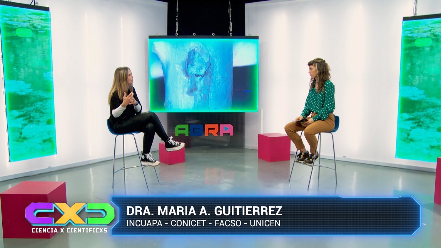 Participación de la FACSO en