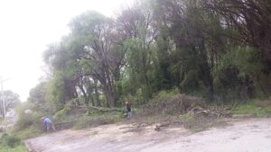 Trabajos de mantenimiento ambiental en