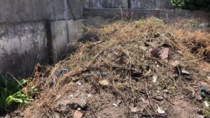 Terreno baldío
