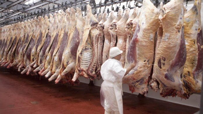 Exportadores de carne dejan
