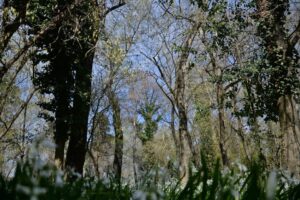 Nuevos horarios del Bioparque