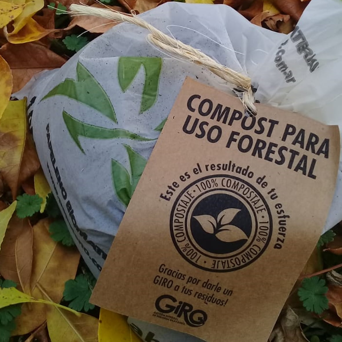 El compost separado por