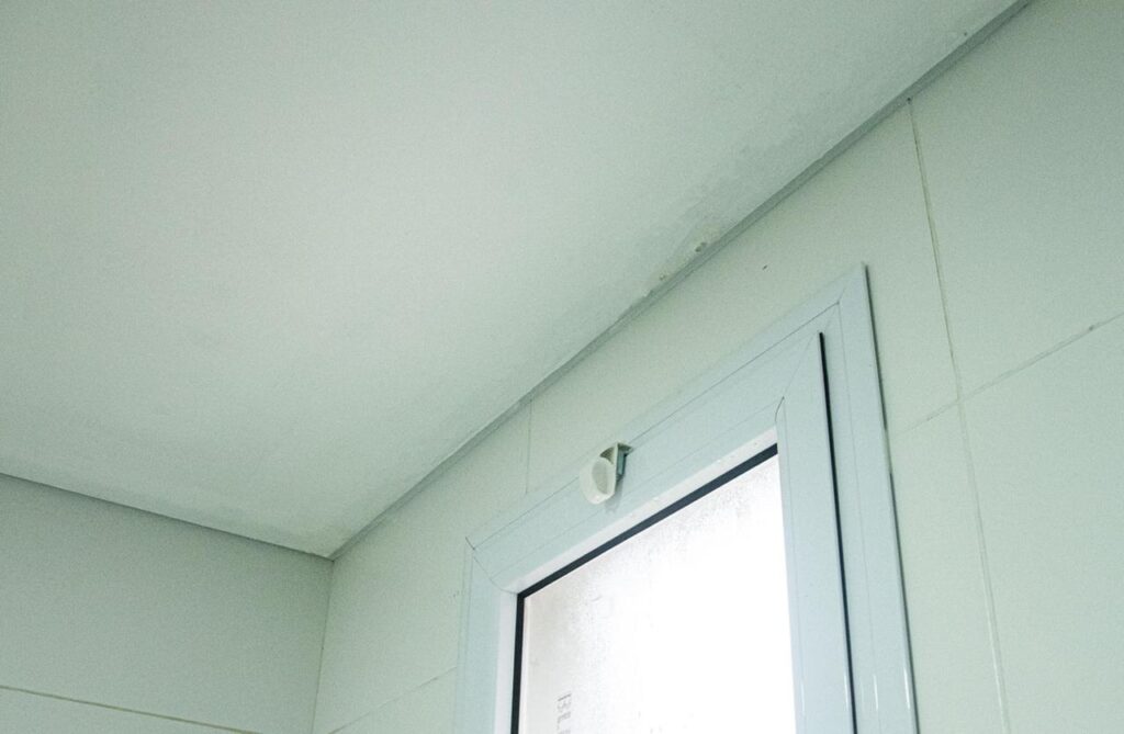 El nuevo edificio de