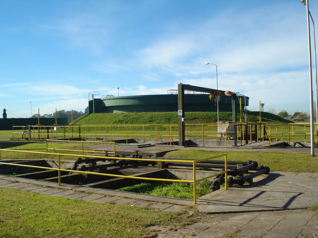 En conmemoración de los