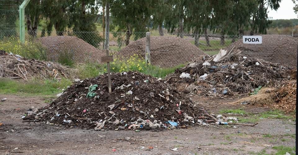 Landivar sobre el Programa