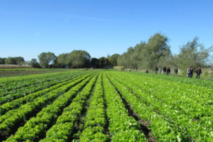 Actividades del Programa de