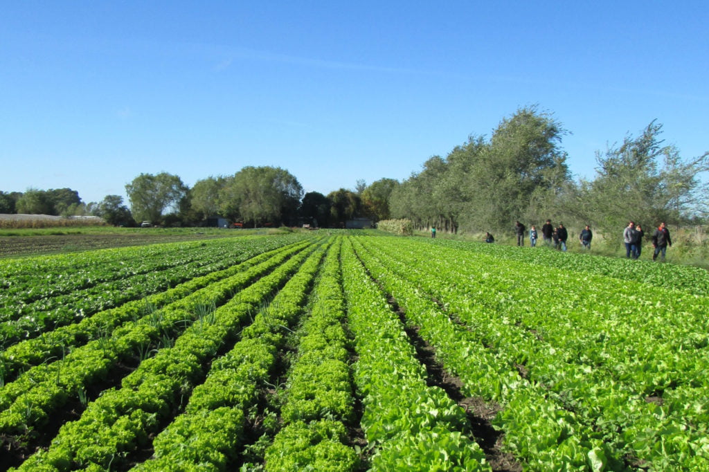Actividades del Programa de