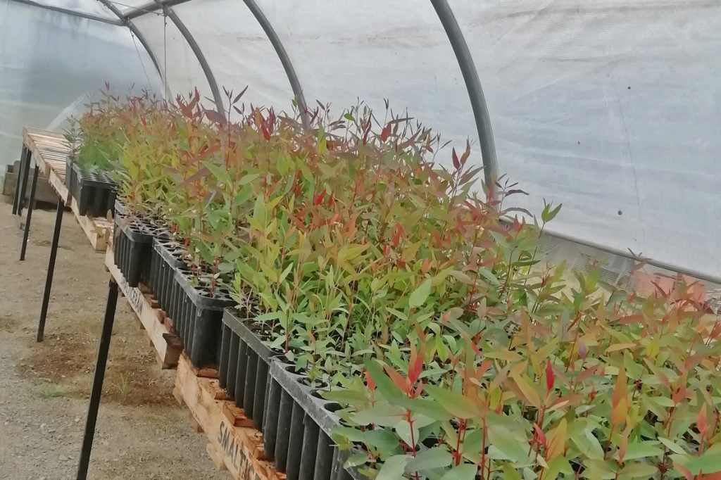 Continúa la inscripción para