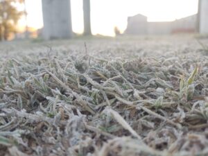 Jueves frío en Olavarría