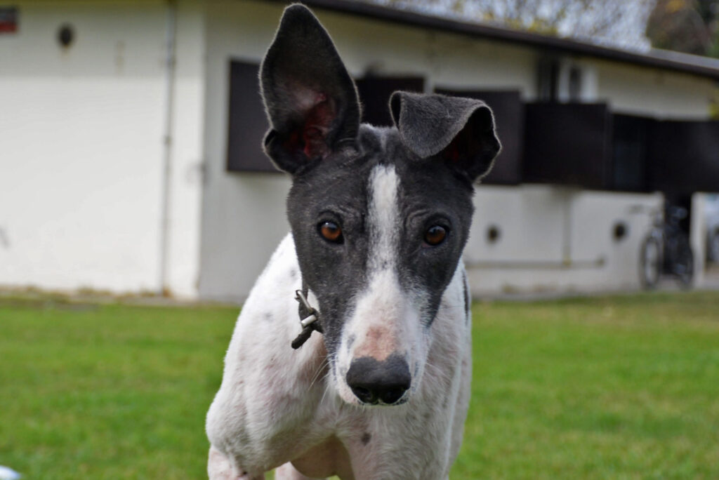 Margarita en viernes de
