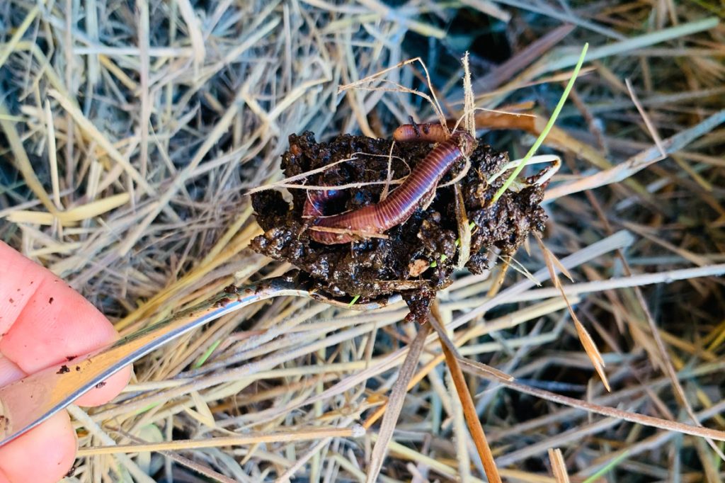 Taller de Compostaje en