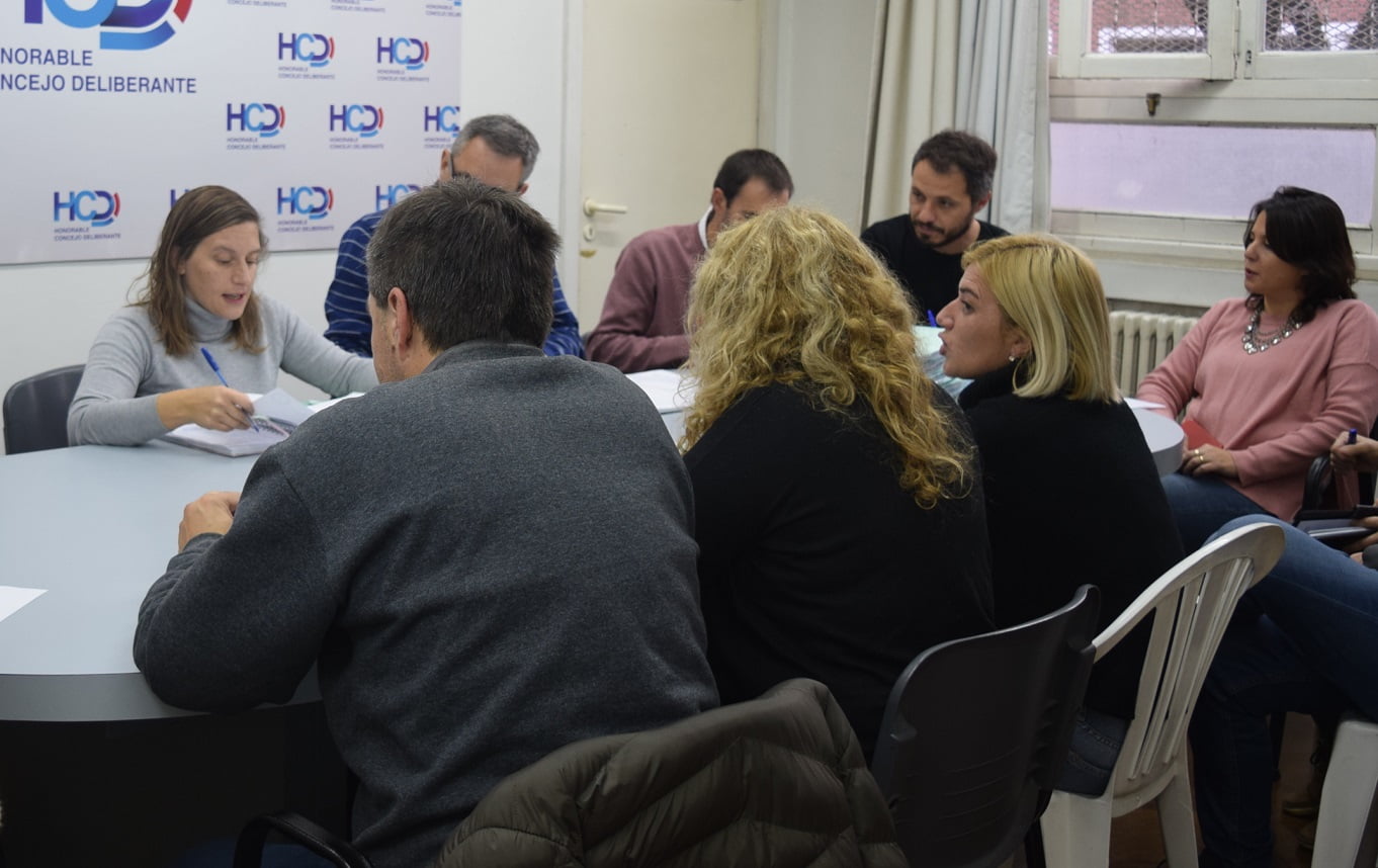 Por Ordenanza quedará establecida