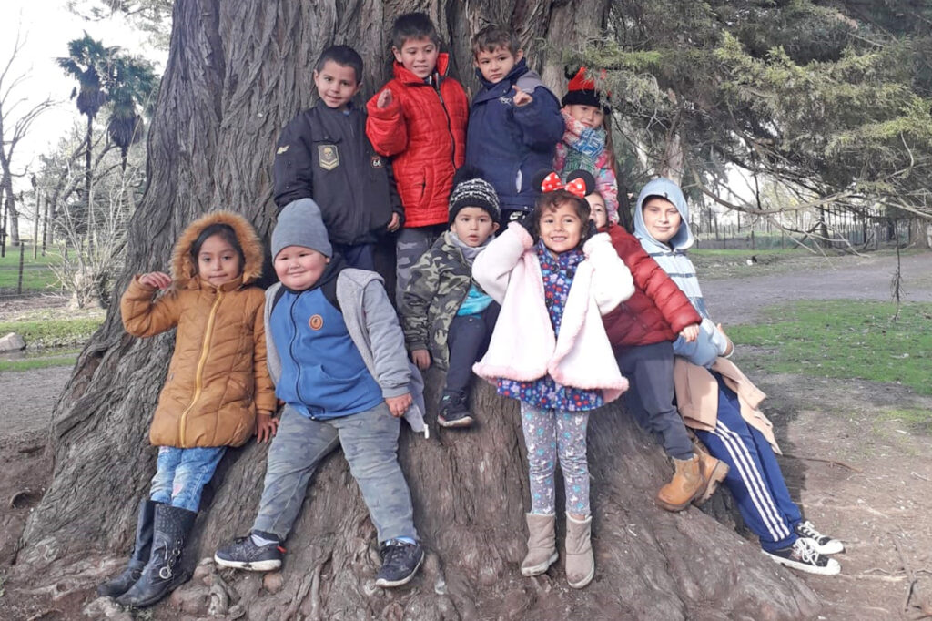 Actividades en el centro