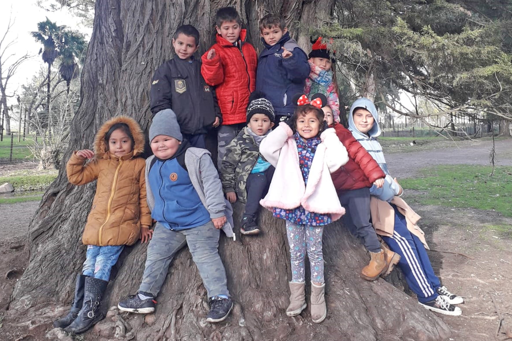 Actividades en el centro