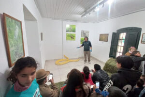 Las actividades de este