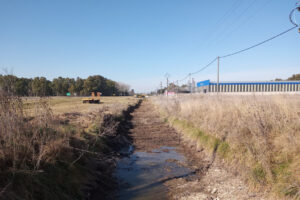 Se realiza la limpieza