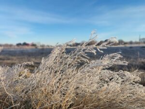 Semana con marcado descenso