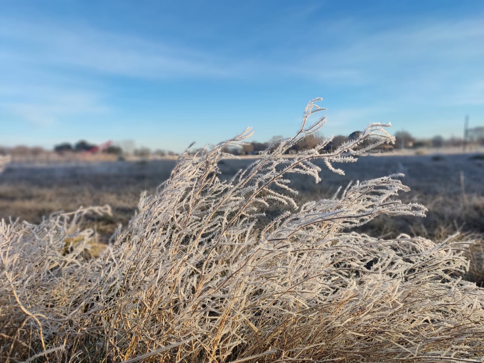Semana con marcado descenso
