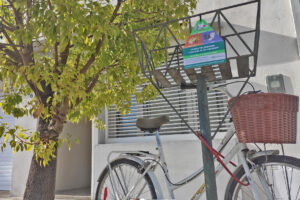 Actividades territoriales