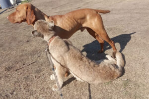 Educar para prevenir el