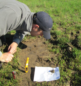 Plan de acción contra