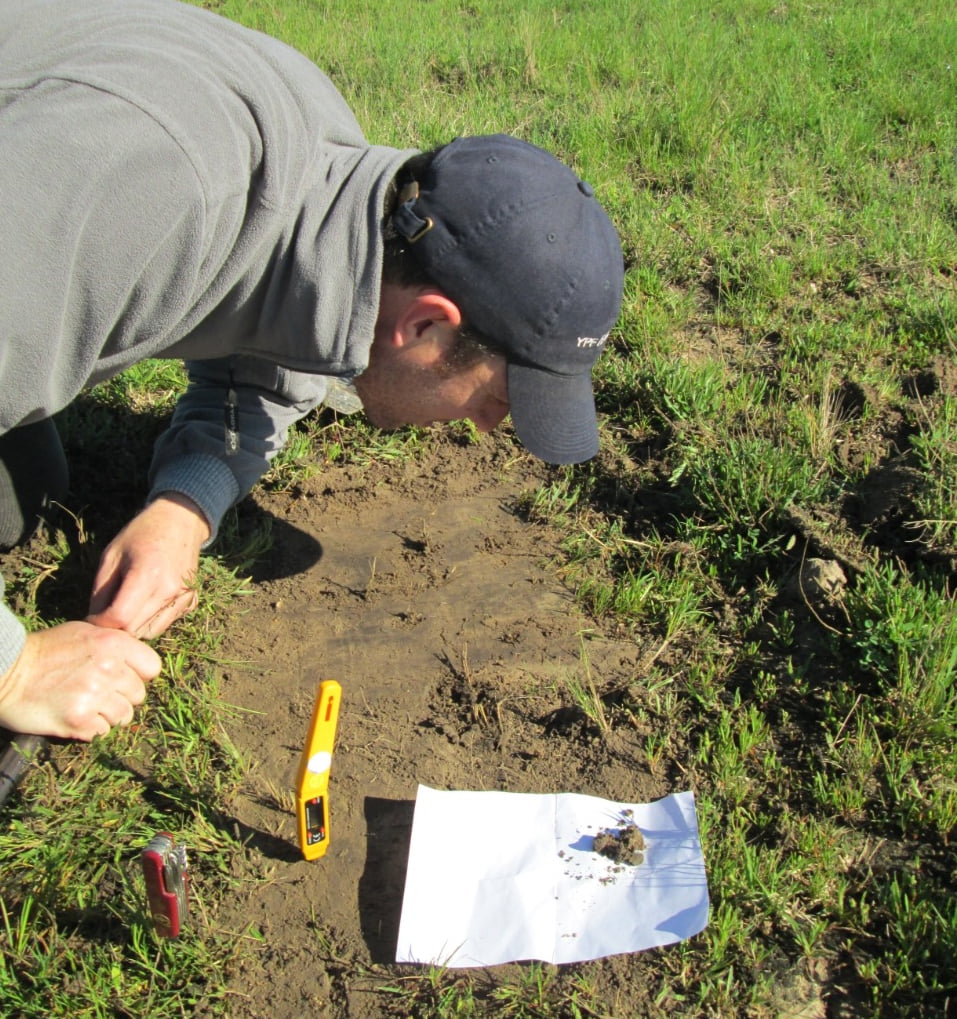 Plan de acción contra